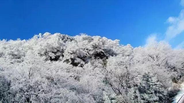 如何看微信群里哪些是自己的好友游戏画面